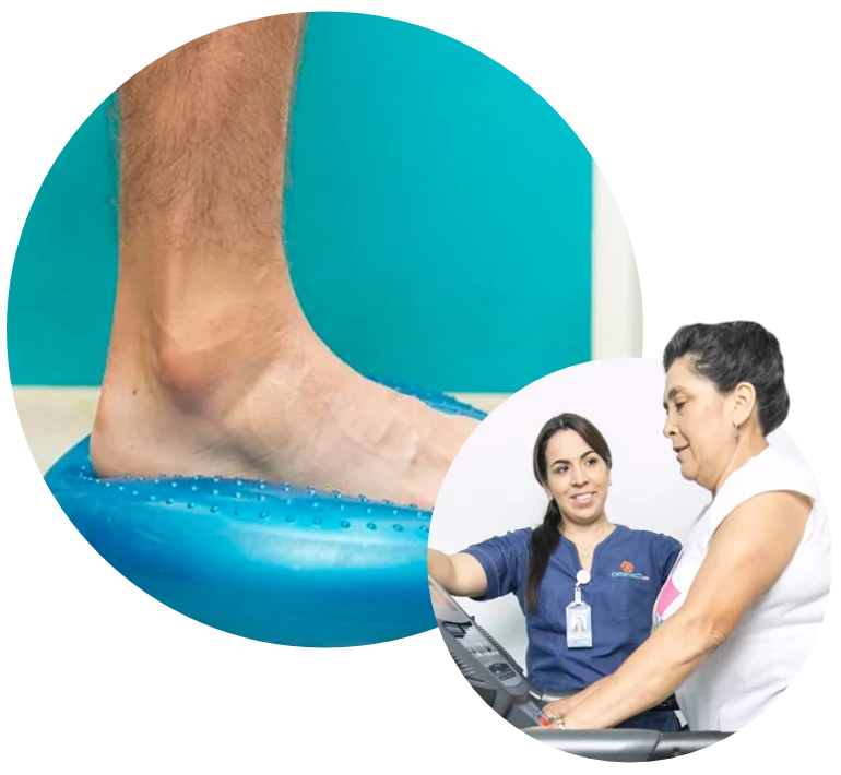 Soporte Terapéutico